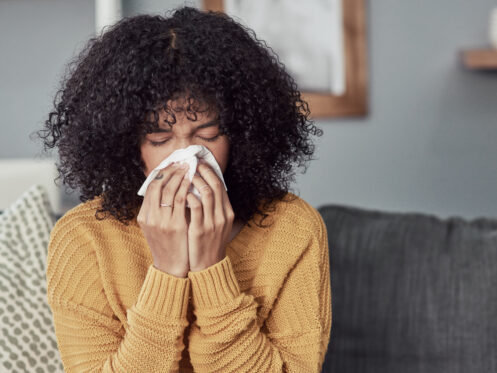 Air quality services in Mesa, AZ