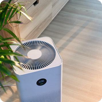 Air Purification in San Tan Valley, AZ