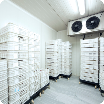 Commercial Refrigeration in Mesa, AZ